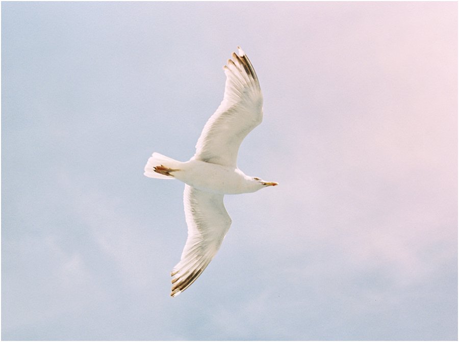 fine_art_film_photography_1855