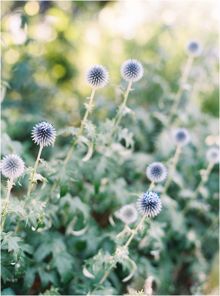 fine_art_film_photography_1858