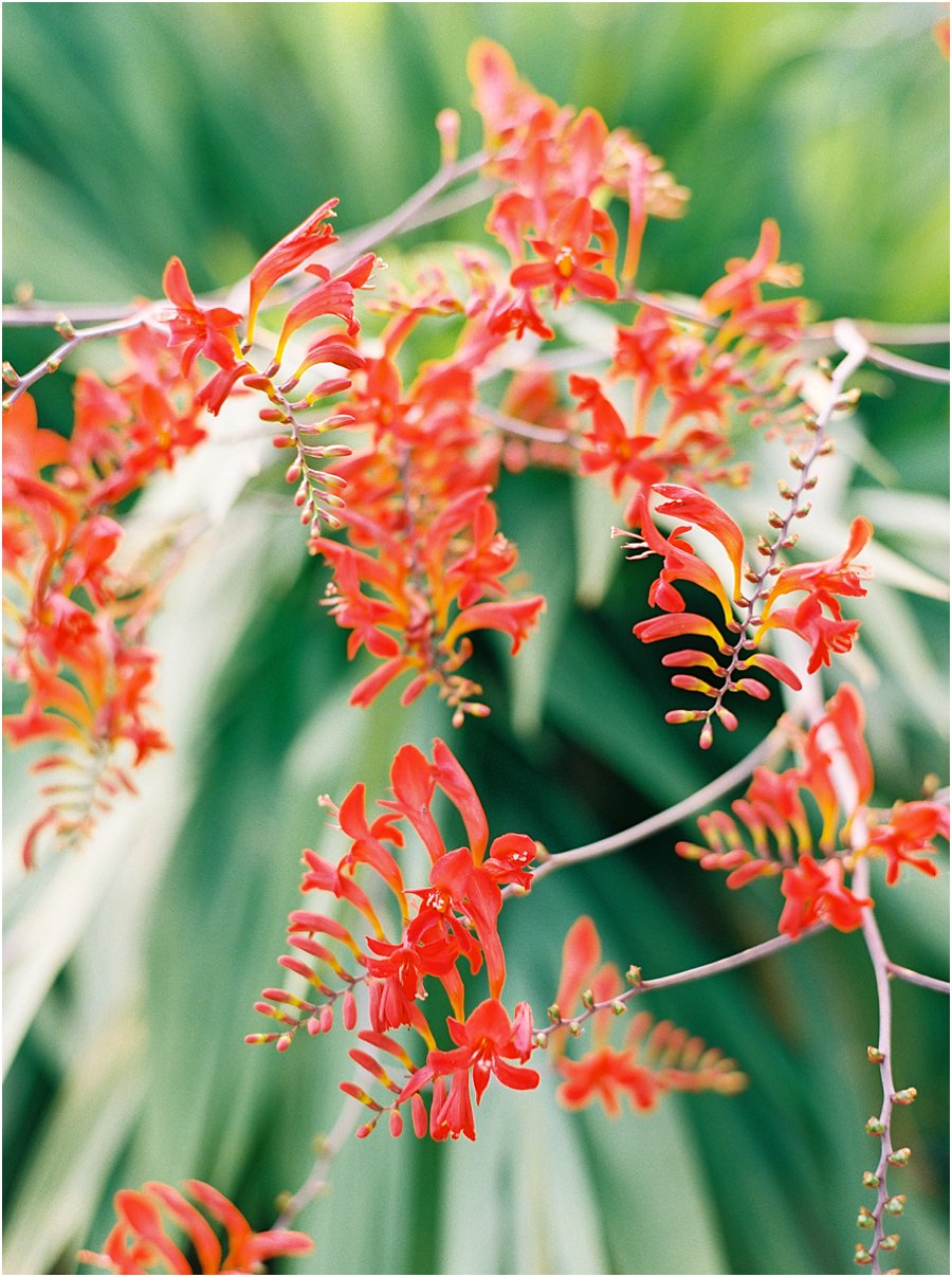 fine_art_film_photography_1889