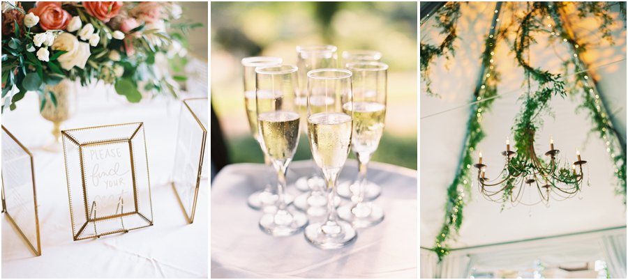 fine_art_film_photography_1895